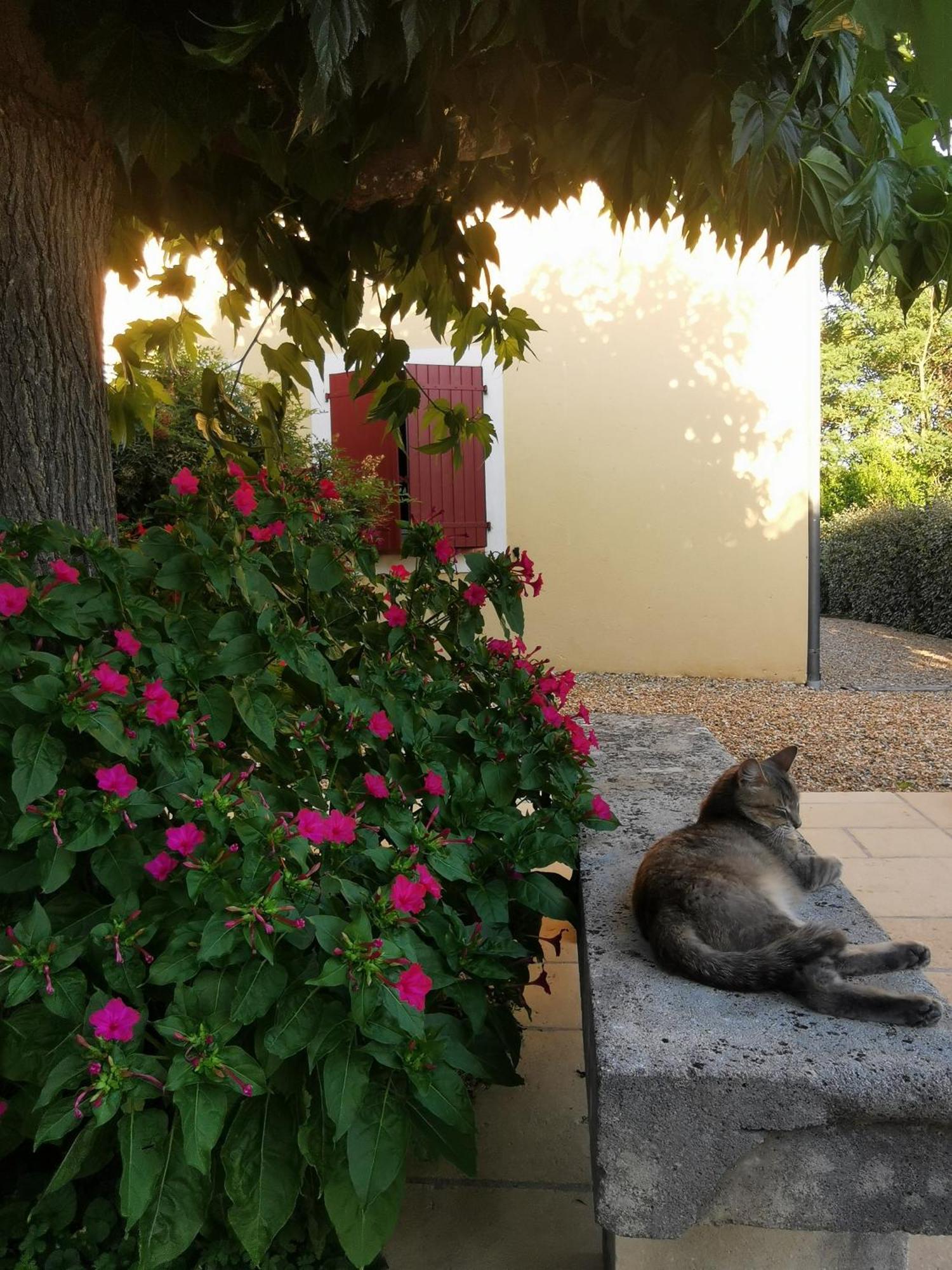 르토로네 Bastide Saint Bernard B&B 외부 사진